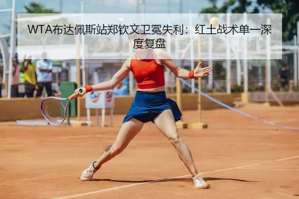 bu-da-pei-si-zhan-zheng-qin-wen-wei-mian-shi-li-hong-tu-zhan-shu-dan-yi-shen-du-fu-pan-3-559.jpg